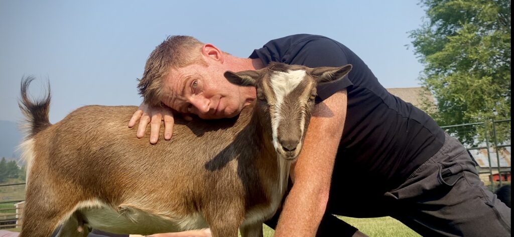 Goat Hug